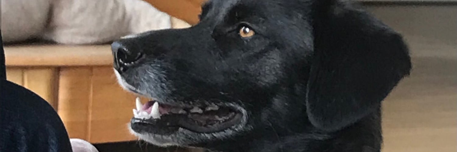 Cover photo for this channel